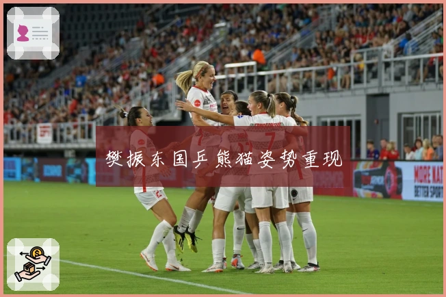 樊振东国乒熊猫姿势重现