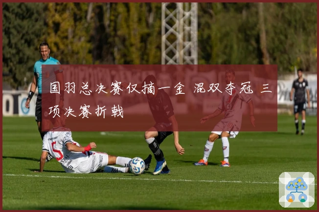 国羽总决赛仅摘一金 混双夺冠 三项决赛折戟