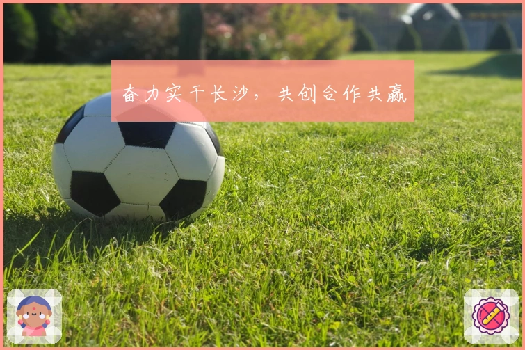 奋力实干长沙，共创合作共赢