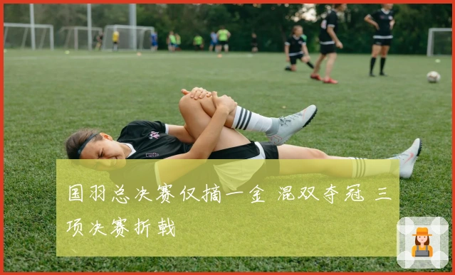 国羽总决赛仅摘一金 混双夺冠 三项决赛折戟